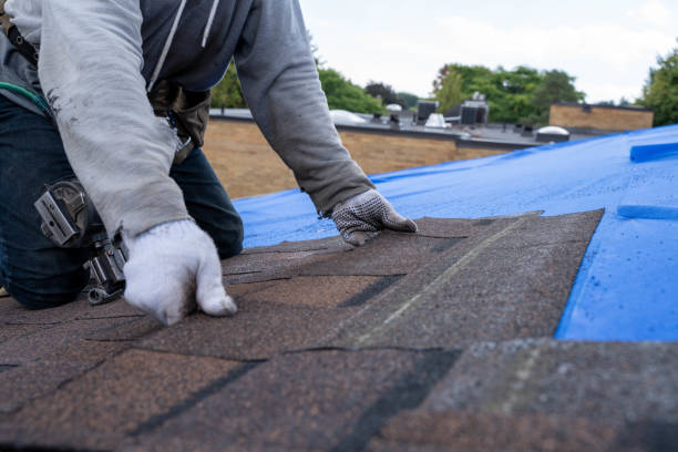 Best Roof Leak Repair  in Westville, IN