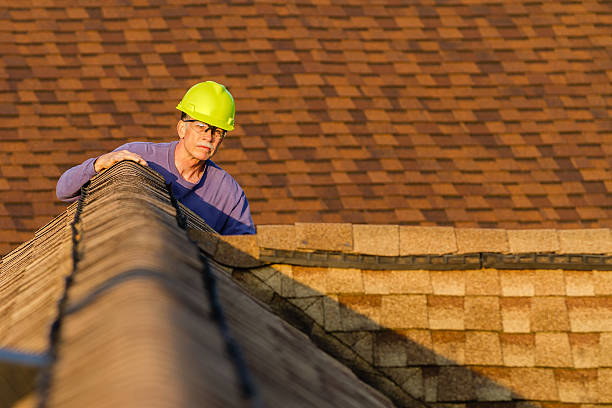 Best Roof Leak Repair  in Westville, IN