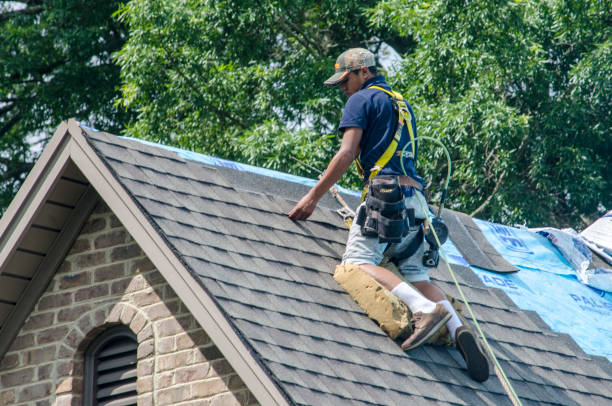 Best Roof Gutter Cleaning  in Westville, IN
